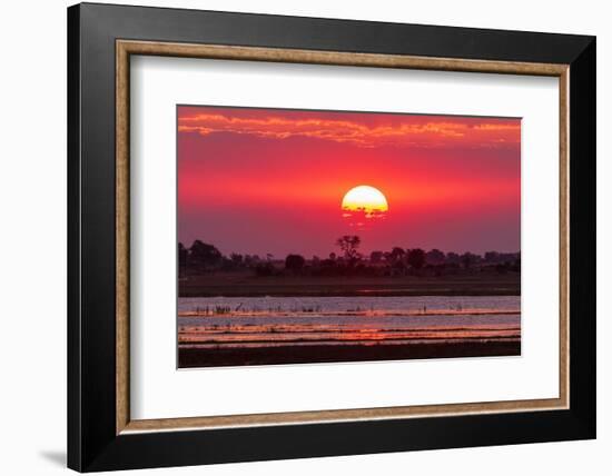 A colorful sunset along the banks of the Chobe River, Chobe National Park, Kasane, Botswana.-Sergio Pitamitz-Framed Photographic Print