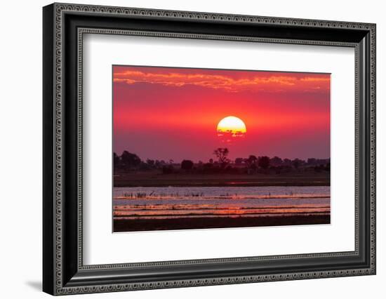 A colorful sunset along the banks of the Chobe River, Chobe National Park, Kasane, Botswana.-Sergio Pitamitz-Framed Photographic Print
