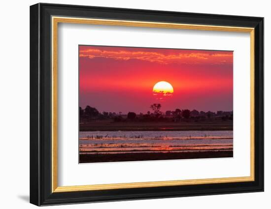 A colorful sunset along the banks of the Chobe River, Chobe National Park, Kasane, Botswana.-Sergio Pitamitz-Framed Photographic Print