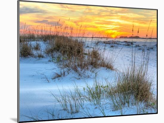 A Colorful Sunset over the Seaoats and Dunes on Fort Pickens Beach in the Gulf Islands National Sea-Colin D Young-Mounted Photographic Print