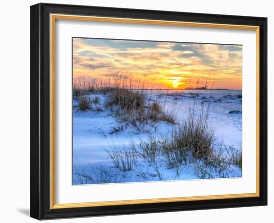 A Colorful Sunset over the Seaoats and Dunes on Fort Pickens Beach in the Gulf Islands National Sea-Colin D Young-Framed Photographic Print