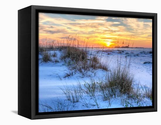 A Colorful Sunset over the Seaoats and Dunes on Fort Pickens Beach in the Gulf Islands National Sea-Colin D Young-Framed Premier Image Canvas