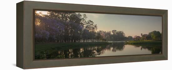 A Colorful Sunset with Trees in Bloom in Sao Paulo's Ibirapuera Park-Alex Saberi-Framed Premier Image Canvas