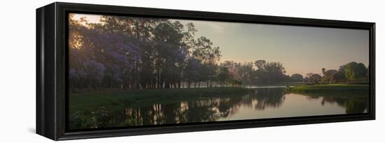 A Colorful Sunset with Trees in Bloom in Sao Paulo's Ibirapuera Park-Alex Saberi-Framed Premier Image Canvas