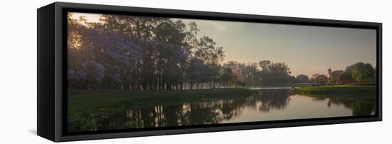 A Colorful Sunset with Trees in Bloom in Sao Paulo's Ibirapuera Park-Alex Saberi-Framed Premier Image Canvas