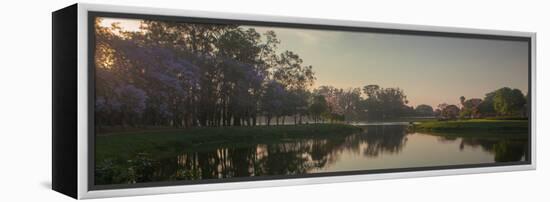 A Colorful Sunset with Trees in Bloom in Sao Paulo's Ibirapuera Park-Alex Saberi-Framed Premier Image Canvas