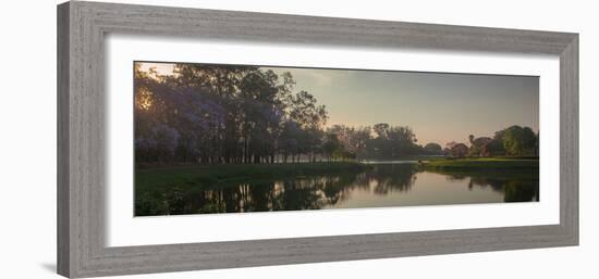 A Colorful Sunset with Trees in Bloom in Sao Paulo's Ibirapuera Park-Alex Saberi-Framed Photographic Print