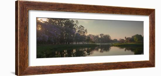 A Colorful Sunset with Trees in Bloom in Sao Paulo's Ibirapuera Park-Alex Saberi-Framed Photographic Print