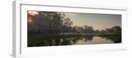 A Colorful Sunset with Trees in Bloom in Sao Paulo's Ibirapuera Park-Alex Saberi-Framed Photographic Print