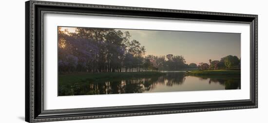 A Colorful Sunset with Trees in Bloom in Sao Paulo's Ibirapuera Park-Alex Saberi-Framed Photographic Print