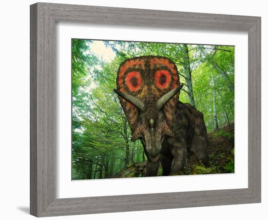 A Colorful Torosaurus Wanders a Cretaceous Forest-Stocktrek Images-Framed Photographic Print