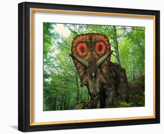 A Colorful Torosaurus Wanders a Cretaceous Forest-Stocktrek Images-Framed Photographic Print