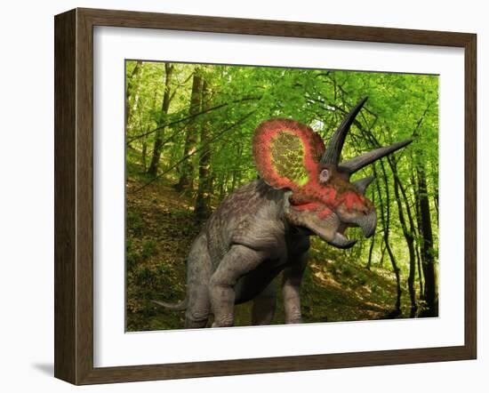 A Colorful Triceratops Wanders a Cretaceous Forest-Stocktrek Images-Framed Photographic Print
