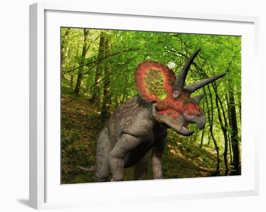 A Colorful Triceratops Wanders a Cretaceous Forest-Stocktrek Images-Framed Photographic Print
