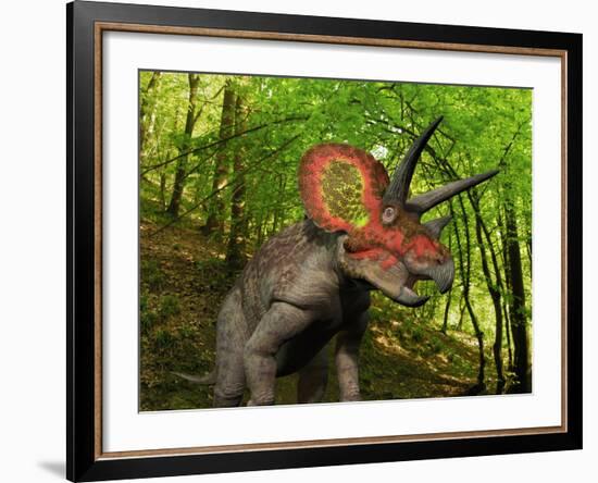 A Colorful Triceratops Wanders a Cretaceous Forest-Stocktrek Images-Framed Photographic Print