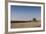 A Combine Harvester Harvests Corn, Maidenhead, Berkshire, England, United Kingdom, Europe-Charlie Harding-Framed Photographic Print