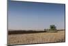 A Combine Harvester Harvests Corn, Maidenhead, Berkshire, England, United Kingdom, Europe-Charlie Harding-Mounted Photographic Print