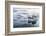 A Commercial Iceberg Tour Amongst Huge Icebergs Calved from the Ilulissat Glacier-Michael-Framed Photographic Print