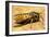 A Common Adult Worker Wasp, Vespula Vulgaris-Sinclair Stammers-Framed Photographic Print