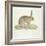 A Common Hare-Werner-Framed Giclee Print