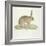 A Common Hare-Werner-Framed Giclee Print