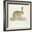 A Common Hare-Werner-Framed Giclee Print