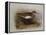 A Common Sandpiper-Archibald Thorburn-Framed Premier Image Canvas