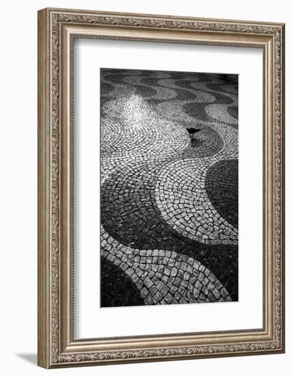 A Common Wood Pigeon on the Portuguese Tiles of Rossio Square at Sunset-Alex Saberi-Framed Photographic Print