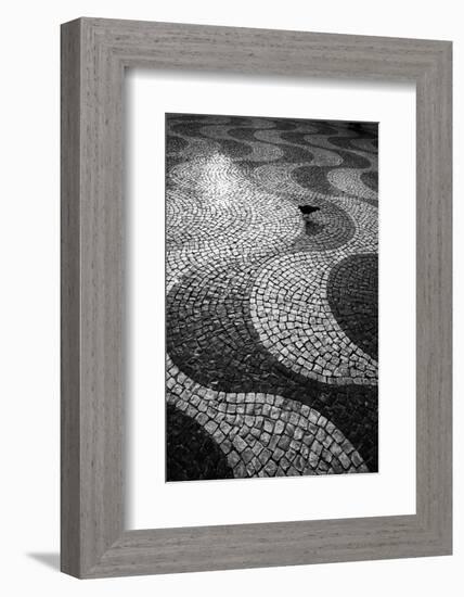 A Common Wood Pigeon on the Portuguese Tiles of Rossio Square at Sunset-Alex Saberi-Framed Photographic Print