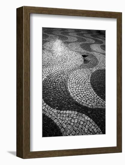 A Common Wood Pigeon on the Portuguese Tiles of Rossio Square at Sunset-Alex Saberi-Framed Photographic Print