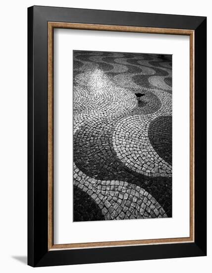 A Common Wood Pigeon on the Portuguese Tiles of Rossio Square at Sunset-Alex Saberi-Framed Photographic Print