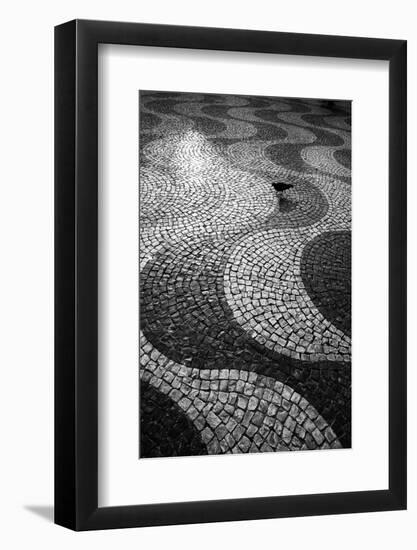 A Common Wood Pigeon on the Portuguese Tiles of Rossio Square at Sunset-Alex Saberi-Framed Photographic Print