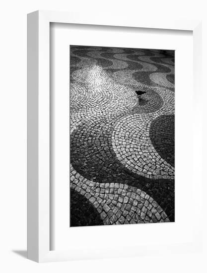 A Common Wood Pigeon on the Portuguese Tiles of Rossio Square at Sunset-Alex Saberi-Framed Photographic Print