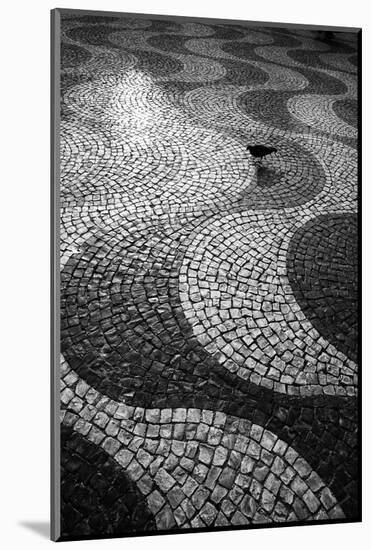 A Common Wood Pigeon on the Portuguese Tiles of Rossio Square at Sunset-Alex Saberi-Mounted Photographic Print