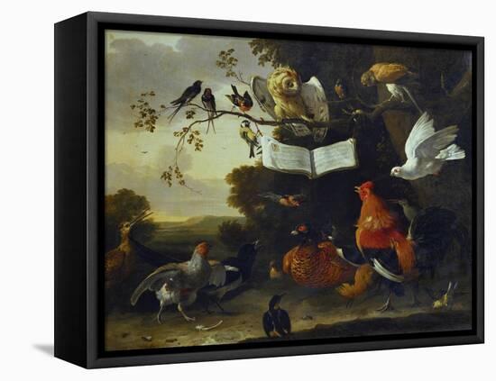 A Concert of Birds-Melchior de Hondecoeter-Framed Premier Image Canvas