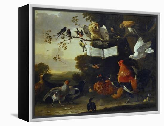 A Concert of Birds-Melchior de Hondecoeter-Framed Premier Image Canvas