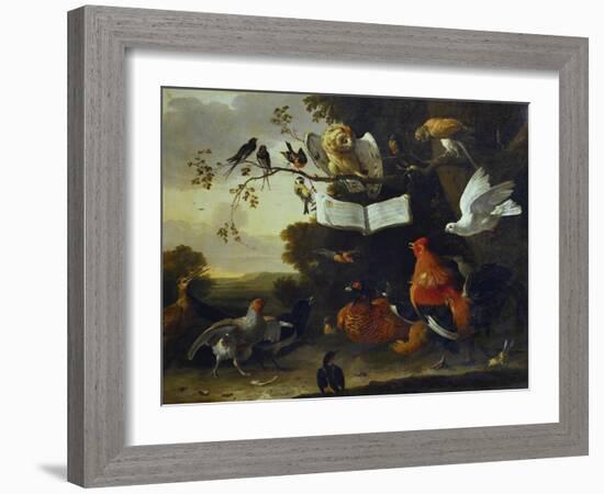 A Concert of Birds-Melchior de Hondecoeter-Framed Giclee Print