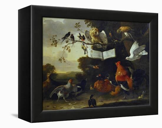 A Concert of Birds-Melchior de Hondecoeter-Framed Premier Image Canvas