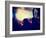 A Concert Shot-graphicphoto-Framed Photographic Print