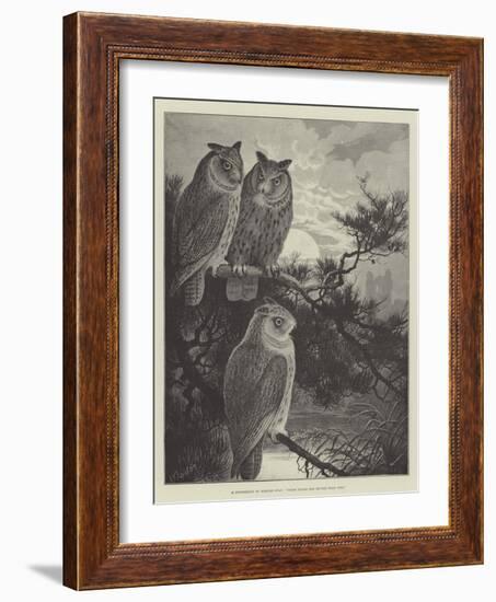 A Conference of Horned Owls, Three Heads are Better Than One-Alexander Francis Lydon-Framed Giclee Print