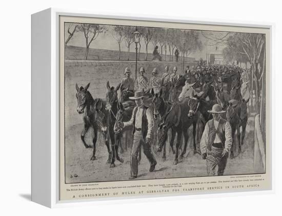 A Consignment of Mules at Gibraltar for Transport Service in South Africa-John Charlton-Framed Premier Image Canvas