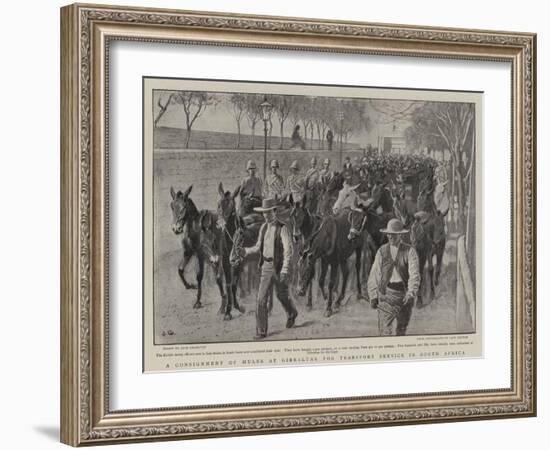 A Consignment of Mules at Gibraltar for Transport Service in South Africa-John Charlton-Framed Giclee Print