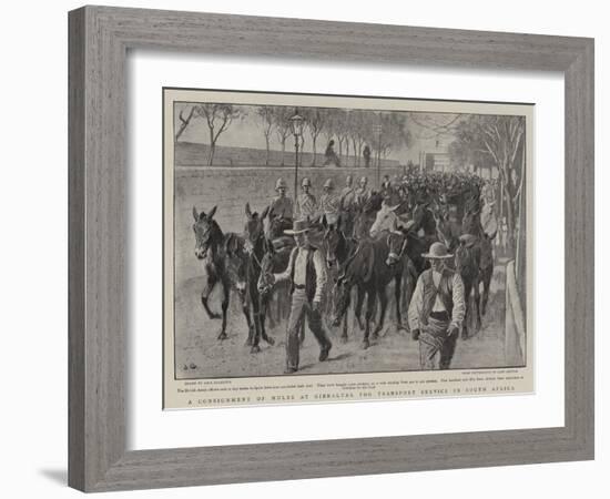 A Consignment of Mules at Gibraltar for Transport Service in South Africa-John Charlton-Framed Giclee Print