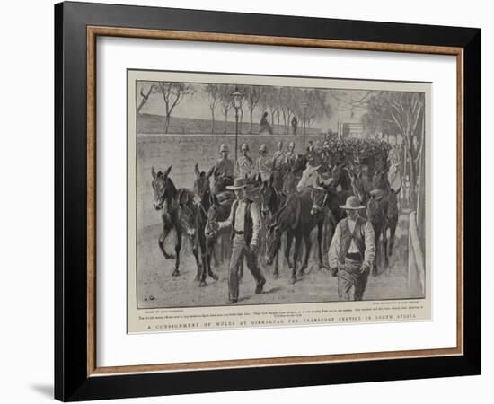 A Consignment of Mules at Gibraltar for Transport Service in South Africa-John Charlton-Framed Giclee Print