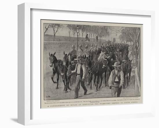 A Consignment of Mules at Gibraltar for Transport Service in South Africa-John Charlton-Framed Giclee Print