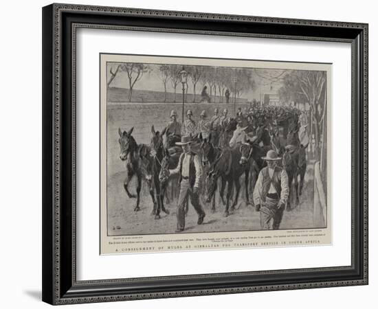 A Consignment of Mules at Gibraltar for Transport Service in South Africa-John Charlton-Framed Giclee Print