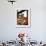 A Construction Worker Stands on a Steel Beam While Working on a High Rise Building-null-Framed Photographic Print displayed on a wall