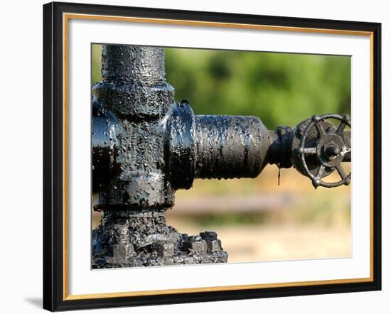 A Control Valve of an Oil Pump-null-Framed Photographic Print