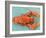 A Cooked Lobster-Alain Caste-Framed Photographic Print