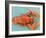 A Cooked Lobster-Alain Caste-Framed Photographic Print